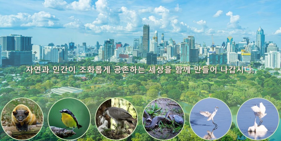 지도