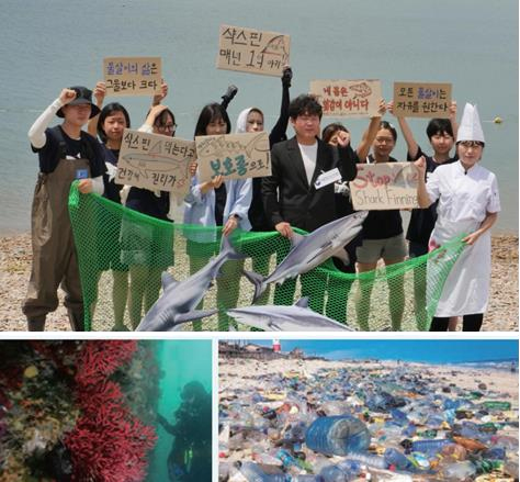 지도